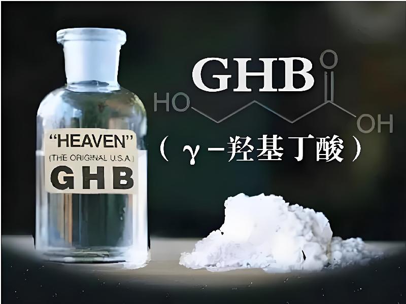 崔迷催药2495-gF型号